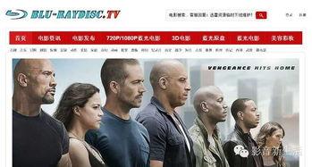 CatwaLk无码磁力,揭秘虚拟世界中的无限可能