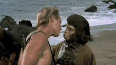 唾液接吻av,揭秘人类亲密行为背后的生理与心理奥秘