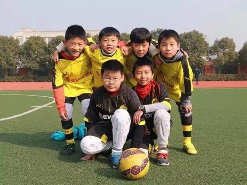 小易足球爆料最新消息新闻,最新赛事动态及幕后花絮大揭秘