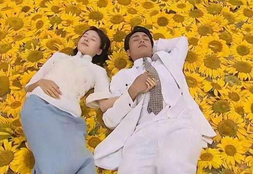 今粉世家免费观看,免费畅享的青春偶像剧盛宴