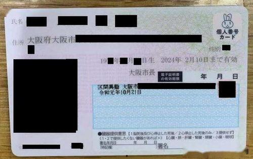 日本番号分类库,探寻日本动漫番号背后的秘密