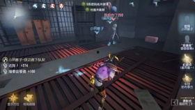 第五人格烟花爆料视频