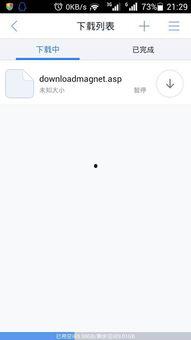 迅雷AV合集 magnet,海量资源一网打尽