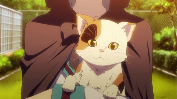 日本动漫里有哪些猫,盘点日本动漫中的魅力猫咪