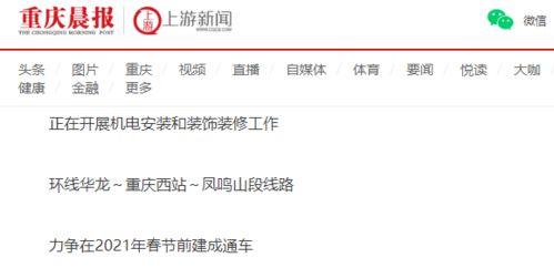 最新重庆爆料消息,揭秘城市热点事件背后的真相