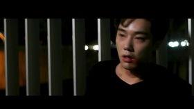 分享老公电影,跟随老公的脚步，探寻电影世界的浪漫之旅