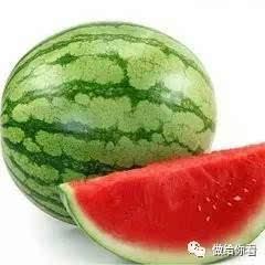 西瓜在线播放 风筝,在线播放的浪漫冒险之旅