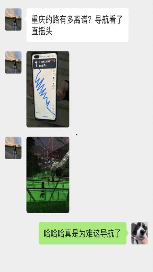 搞笑的导航视频,那些让人捧腹大笑的搞笑导航视频集锦