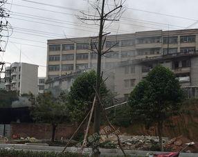 华侨中学爆料新闻,揭秘校园内幕