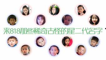 娱乐吃瓜名字叫什么好听